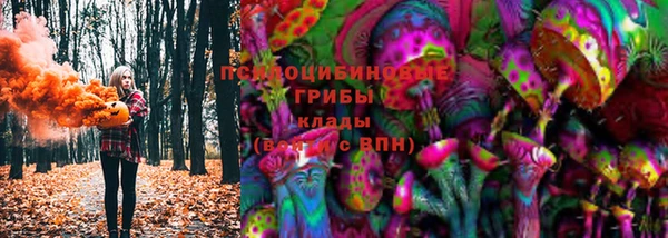 первитин Нягань