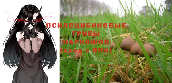 дурь Абдулино